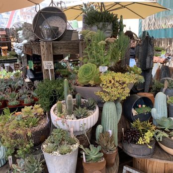 Avantgarden - Outside selection of succulents - Nurseries & Gardening Near Me - Auburn, California