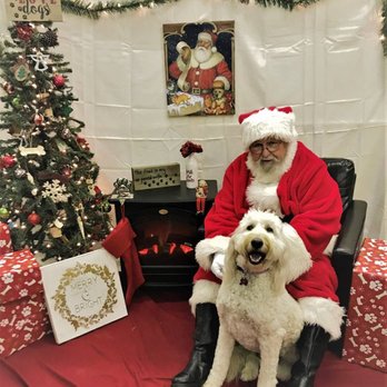Planet K-9 - Pet Groomers Near Me - Beaumont, Texas Planet K-9 - Pet Groomers Near Me - Beaumont, Texas