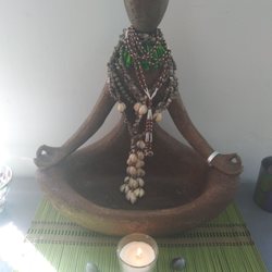 Conscious Xotics - Evolve your immortality!  Live a holistic lifestyle!