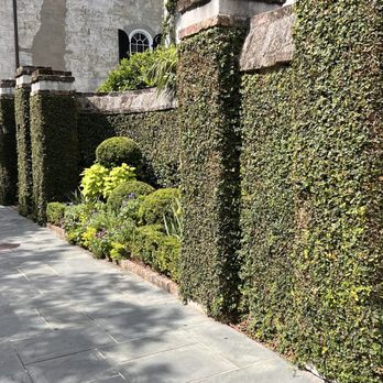 Charleston Footprints - Historical Tours Near Me - Charleston, South Carolina