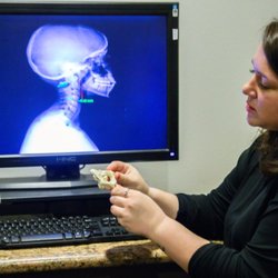 Discover Chiropractic & Wellness