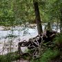 Photo of Wimbachklamm