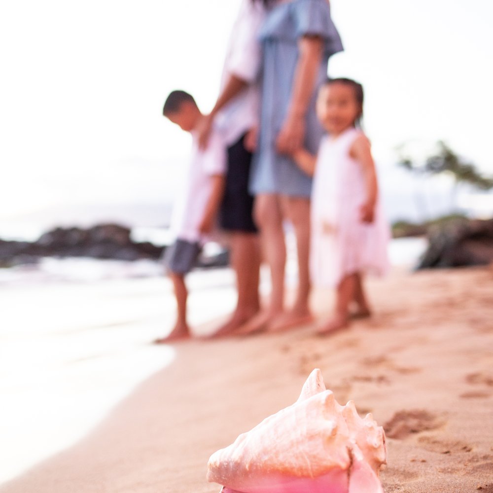Wailea Photography - Event Photography Near Me - Kihei, Hawaii Wailea Photography - Event Photography Near Me - Kihei, Hawaii