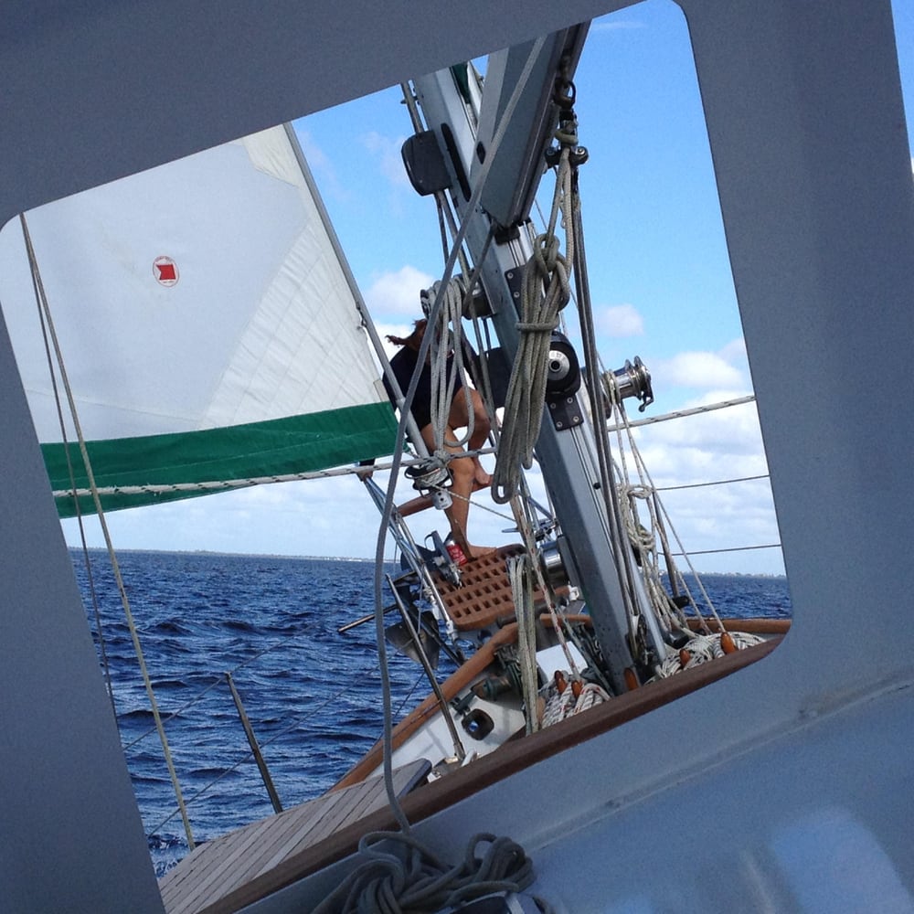 Pegasus Sailing Adventures Logo