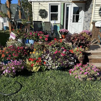 The Green House - Fall in Minnesota still blooming like crazy! - Nurseries & Gardening Near Me - Carlton, Minnesota The Green House - Fall in Minnesota still blooming like crazy! - Nurseries & Gardening Near Me - Carlton, Minnesota