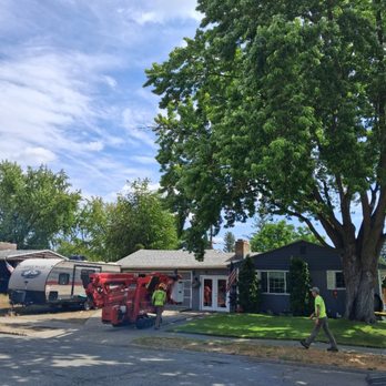 Cda Tree and Utility - Tree Services Near Me - Coeur d Alene, Idaho Cda Tree and Utility - Tree Services Near Me - Coeur d Alene, Idaho