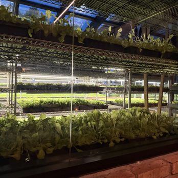 Hardware - Fresh greens - Gastropubs Near Me - North Aurora, Illinois Hardware - Fresh greens - Gastropubs Near Me - North Aurora, Illinois