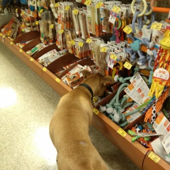 PetSmart - Huge selection of toys and treats! - Pet Stores Near Me - Schererville, Indiana