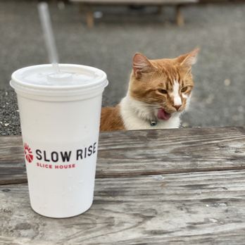 Slow Rise Slice House - Patio - Pizza Near Me - Waco, Texas Slow Rise Slice House - Patio - Pizza Near Me - Waco, Texas