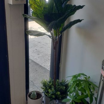 The Boba Kafe - Bubble Tea Near Me - Montclair, California