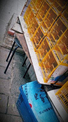 Yuen Po Street Bird Garden by null
