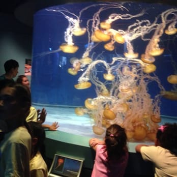 Success Work College Preparatory Academy - Our students enjoy STEM field trips that correlate to classroom lessons. - Elementary Schools Near Me - Long Beach, California Success Work College Preparatory Academy - Our students enjoy STEM field trips that correlate to classroom lessons. - Elementary Schools Near Me - Long Beach, California