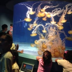 Success Work College Preparatory Academy - Our students enjoy STEM field trips that correlate to classroom lessons.