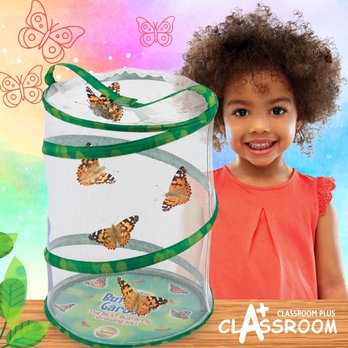 Classroom Plus - Butterfly Garden - Toy Stores Near Me - Naples, Florida