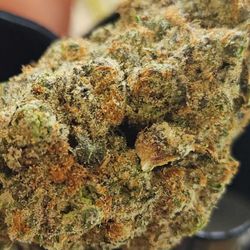 Apotheca Cannabis Dispensary