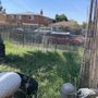 Photo of Under The Sun Gardening