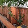 Superior Straight Line Fencing