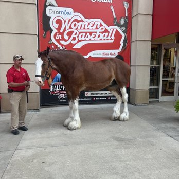 Great American Ball Park - Bud horse - Stadiums & Arenas Near Me - Cincinnati, Ohio Great American Ball Park - Bud horse - Stadiums & Arenas Near Me - Cincinnati, Ohio