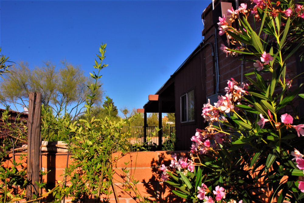 Casa Jorge - home care agency in Tucson, AZ