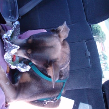 Five Guys - My dog loves Five Guys Burgers. - Burgers Near Me - Carson, California Five Guys - My dog loves Five Guys Burgers. - Burgers Near Me - Carson, California