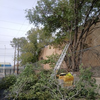 Lliguin Landscaping - Landscaping Near Me - Albuquerque, New Mexico