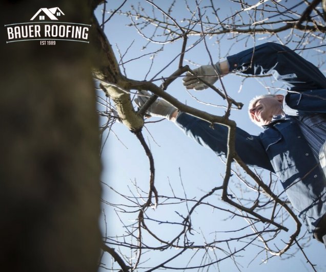 Slide of Bauer Roofing