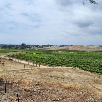 Wine Country Trails by Horseback - View of the vineyard from their little office. - Tours Near Me - Temecula, California