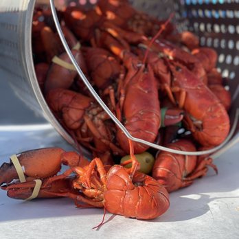 Menegon Catering - Lobster! - Caterers Near Me Menegon Catering - Lobster! - Caterers Near Me