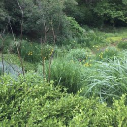 Ben Rau Garden