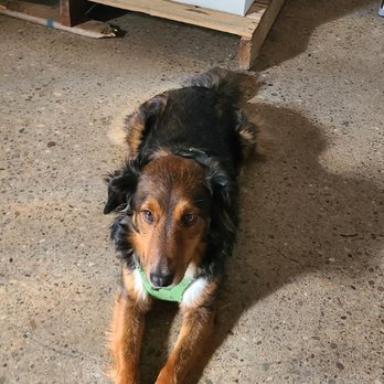 Maggie's Farm Rum - Dog friendly - Distilleries Near Me - Pittsburgh, Pennsylvania