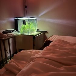 Japan Foot Spa - Fish tank and bed while soaking my feet