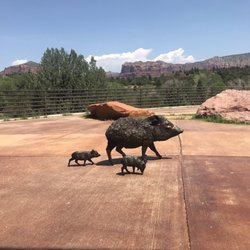 Visitor Information-Sedona & Oak Creek Canyon