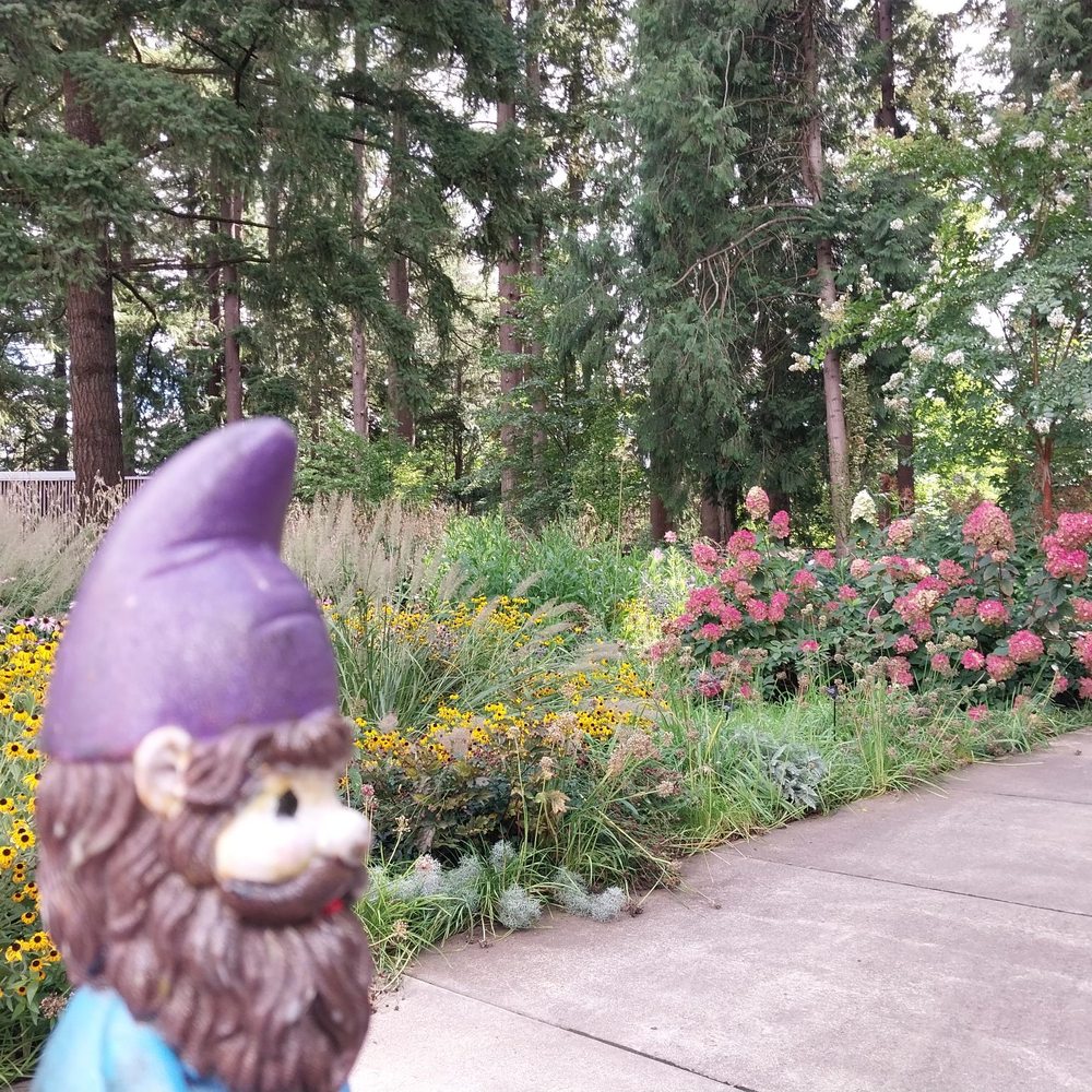 Leach Botanical Garden - Botanical Gardens Near Me - Portland, Oregon