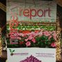 Photo of Nursery Report