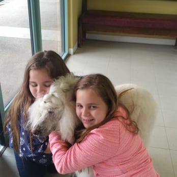 Carousel Pet Grooming - Amazing grooming by Carousel - Pet Groomers Near Me - Rancho Cucamonga, California Carousel Pet Grooming - Amazing grooming by Carousel - Pet Groomers Near Me - Rancho Cucamonga, California