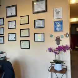 Life Essence - Waiting room wall showing plaques and certificates verifying training and the extensive qualifications.