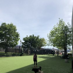 Newport Dog Run
