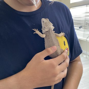 Buddie's Pet Shop - Pet Stores Near Me - Bloomington, California