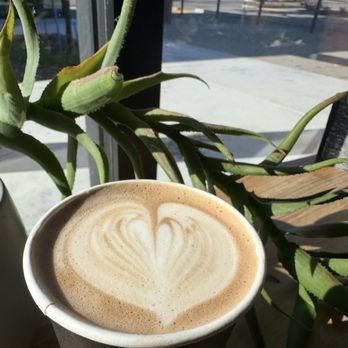 Sunny Cups Coffee - Their honey cinnamon latte! - Caterers Near Me Sunny Cups Coffee - Their honey cinnamon latte! - Caterers Near Me