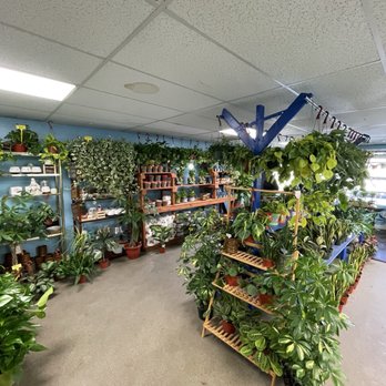 Fresh Indoor Plants - Indoor Landscaping Near Me - Ontario, California