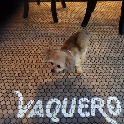 Vaquero Bar by null