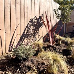 Armstrong Garden Centers - Plants mid planting