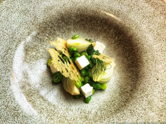 ZEST by Konishi by null