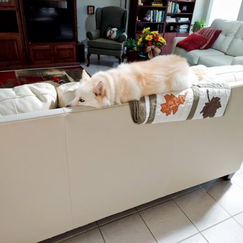 Pets Are Inn - Sadie is relaxing with her Host, Grandma Sue. Does she look comfortable?. - Pet Boarding Near Me - Plano, Texas Pets Are Inn - Sadie is relaxing with her Host, Grandma Sue. Does she look comfortable?. - Pet Boarding Near Me - Plano, Texas