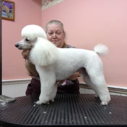 The Posh Poodle Gift Card