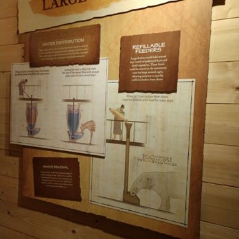 Ark Encounter - Museums Near Me - Williamstown, Kentucky