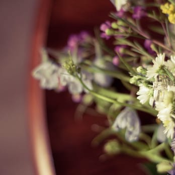 Log House Florist - Florists Near Me - Boone, North Carolina