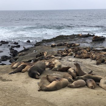 La Jolla Cove - Parks Near Me - La Jolla, California