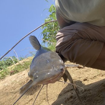 Running Bear Park - catfish - Parks Near Me - Irving, Texas Running Bear Park - catfish - Parks Near Me - Irving, Texas