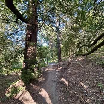 Tilden Park - Parks Near Me - Berkeley, California